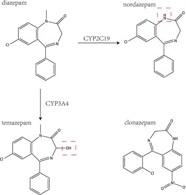 Inhibitory Effect of Imperatorin on the Pharmacokinetics of Diazepam In Vitro and In Vivo